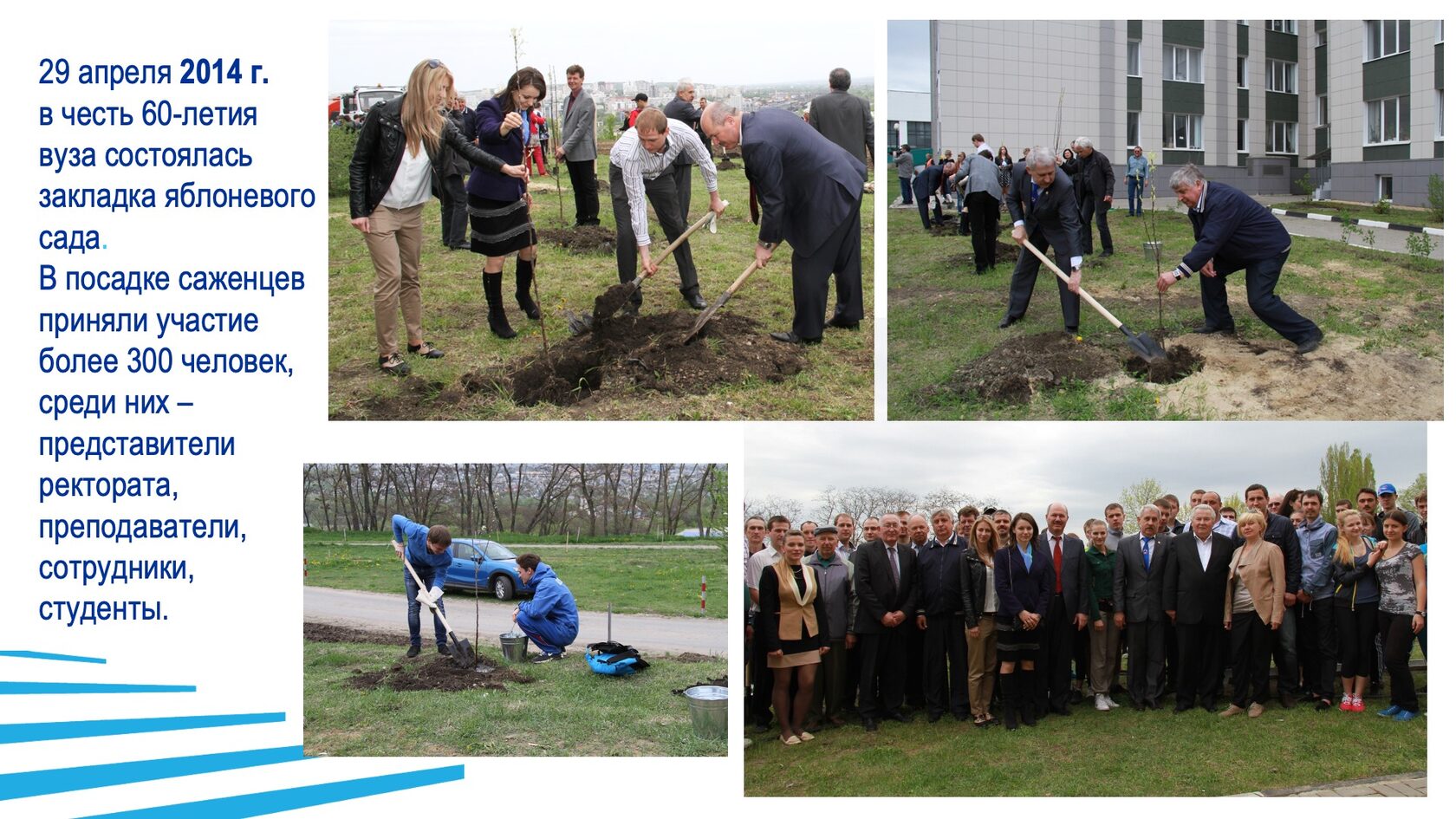 Строительство и благоустройство БГТУ им. В.Г. Шухова. Слайд 40