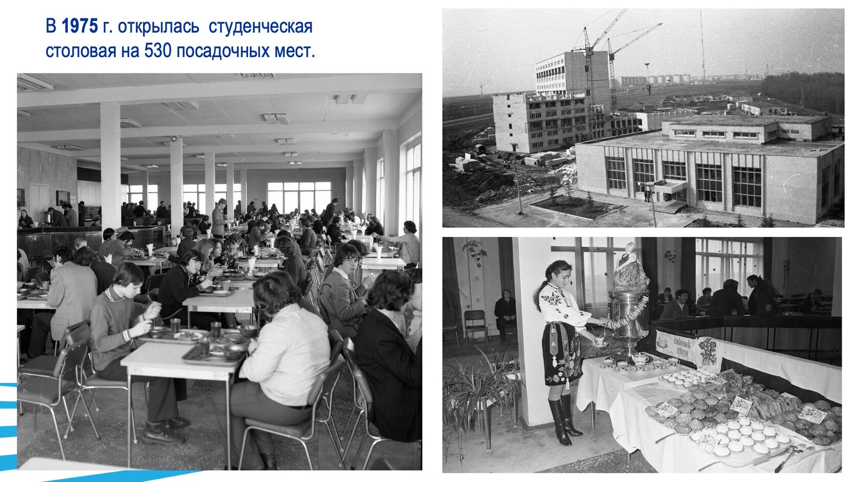 Строительство и благоустройство БГТУ им. В.Г. Шухова. Слайд 10