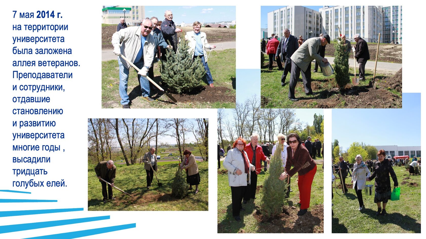 Строительство и благоустройство БГТУ им. В.Г. Шухова. Слайд 41